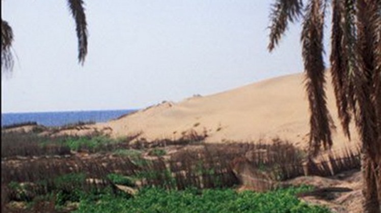 Under the title "Recruitment in Border Governorates", the first forum to provide job opportunities for youth in Sinai will be held on Wednesday in El-Arish, North Sinai. 
