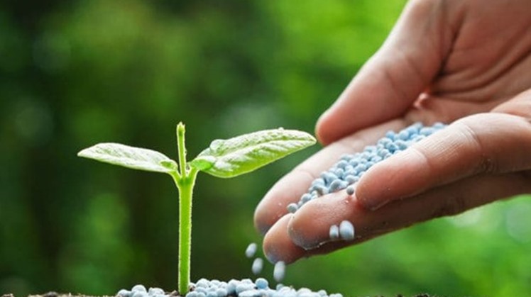 Egypt's Prime minister Mostafa Madbouli has reiterated the state keenness on supporting and encouraging agricultural and land reclamation projects to expand farmlands nation-wide.