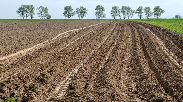 Egypt's President Abdel Fattah El-Sisi directed the government to increase the arable area in Sinai, announced Prime Minister Mustafa Madbouli in a statement on Monday.