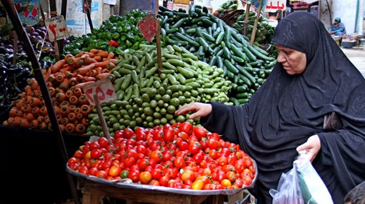 Egypt’s strategic reserves of basic commodities are sufficient for 5 months, according to Minister of Supply Ali Moselhy.