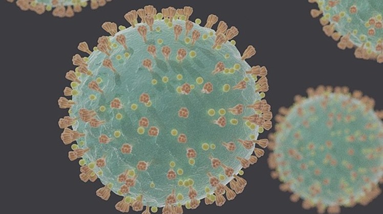 Egyptian Prime Minister Moustafa Madbouly received on Saturday the report on the ‘100 Days of the Fight Against COVID-19’ from the cabinet’s Information and Decision Support Center (IDSC)