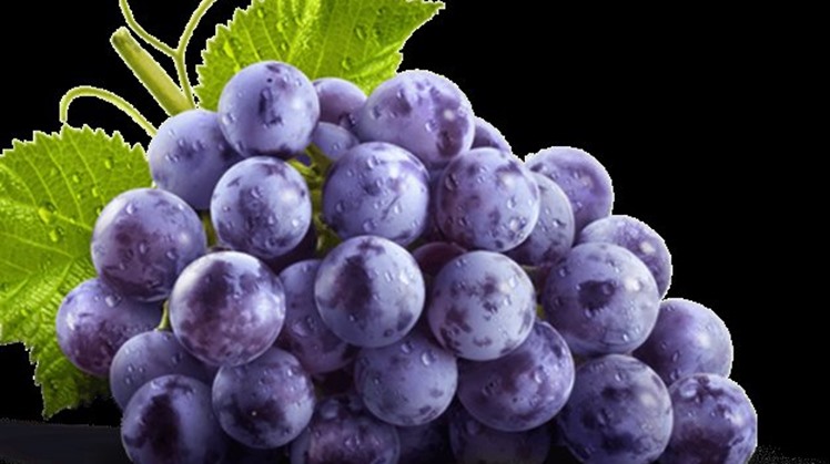 Egypt's Cabinet plans to boost agricultural exports in FY2020/2021 by entering new markets through grapes, citrus, and garlic.