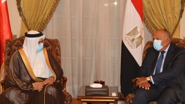 Egypt and Bahrain have agreed on the necessity to preserve the call for cease-fire initiative in Libya, which call for electing a new presidential council.