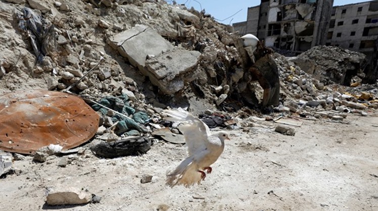 Egypt's Foreign Minister Sameh Shoukry received a phone call from United Nations Special Envoy for Syria Geir O. Pedersen on Sunday, discussing the latest developments in Syria, according to a statement from the Egyptian Ministry of Foreign Affairs.
 