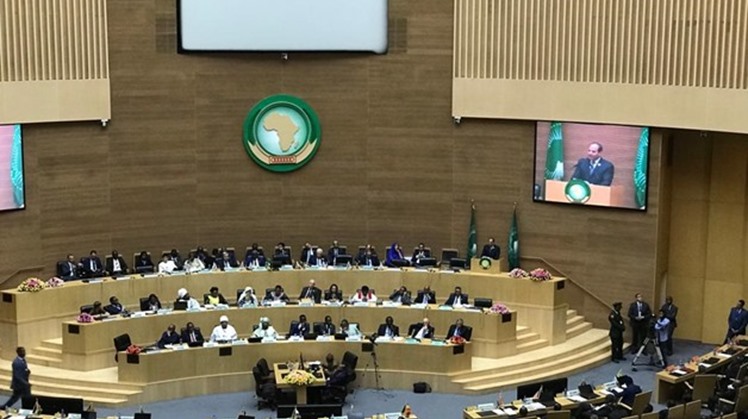 AU committee praises Sisi's suggestion on anti-terror unit