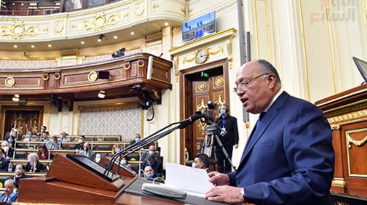 Egypt's FM says ties with US 'close, strategic' over 4 decades