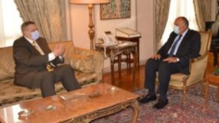 Egypt's FM urges Libyan parties to adhere to ceasefire agreement, especially on foreign forces withdrawal 