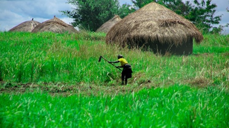 Egypt embarks on mega agricultural reclamation project with underground water to maximize production