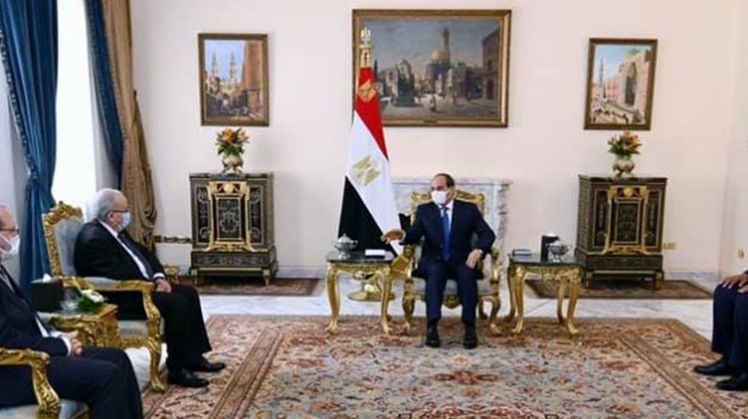 Sisi asserts Egypt's Nile water rights, need to resume GERD negotiations in meeting with Algerian FM