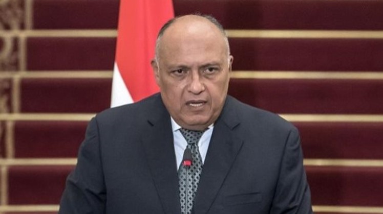 Egypt’s FM visits Manama to send Sisi’s message to Bahraini king