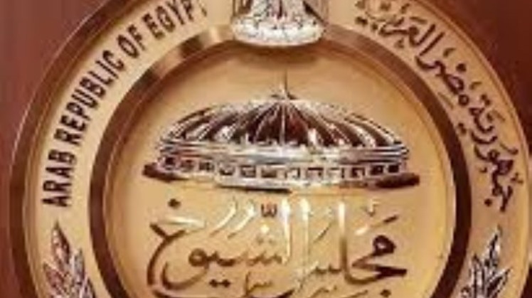 Egypt's Sisi invites parliament to hold 2nd inaugural session of 1st legislative term