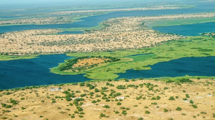 European official: Egypt plays leading role in climate change issue