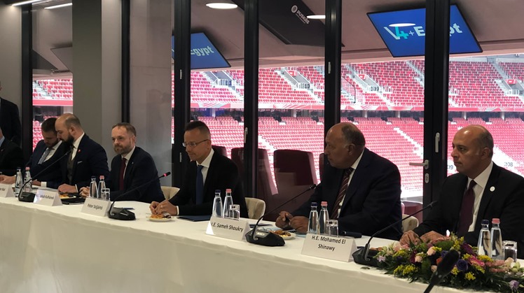 Egypt, Visegrad FMs discuss illegal migration, counterterrorism, situation in Afghanistan
