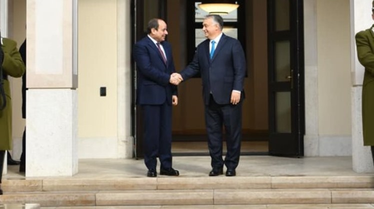 To prevent illegal migration, stability must return to countries from which migrants flow: Sisi