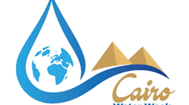 Egypt's water scarcity 'early example' of future worldwide struggles necessitating int'l coordination: Sisi