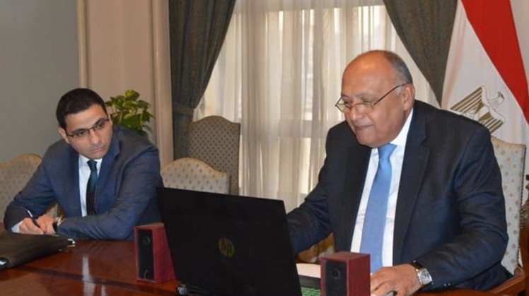 Egypt's FM participates in virtual Egypt-US forum on climate change