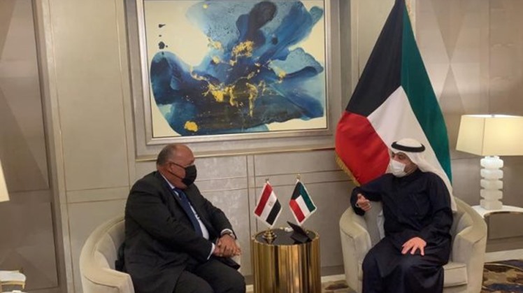 Egypt, Kuwait FMs review situation in Lebanon