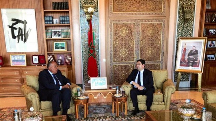 Egypt's FM presents to Moroccan counterpart GERD latest developments