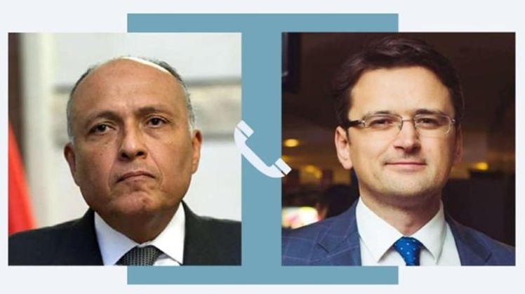Egypt's FM receives phone call from Ukrainian counterpart