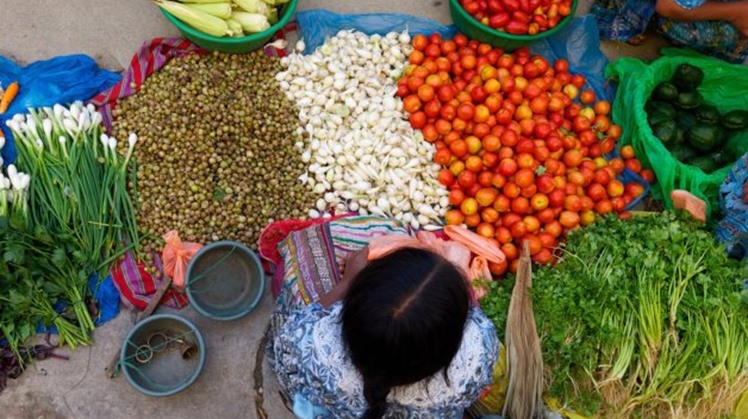 Egypt’s exports of food industries increase to $2.169B within 6 months