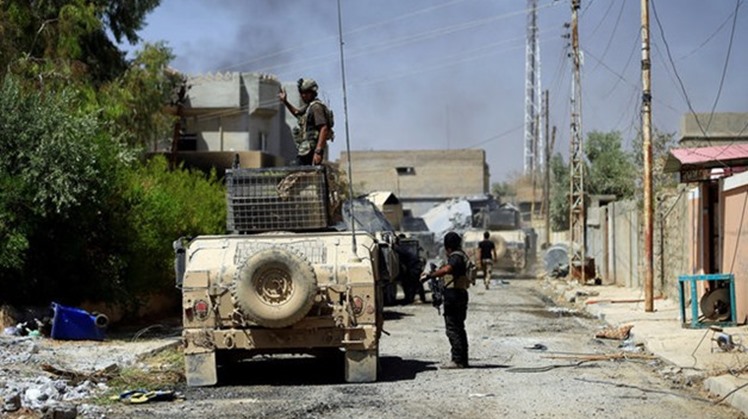 Egypt strongly condemns all forms of terrorism