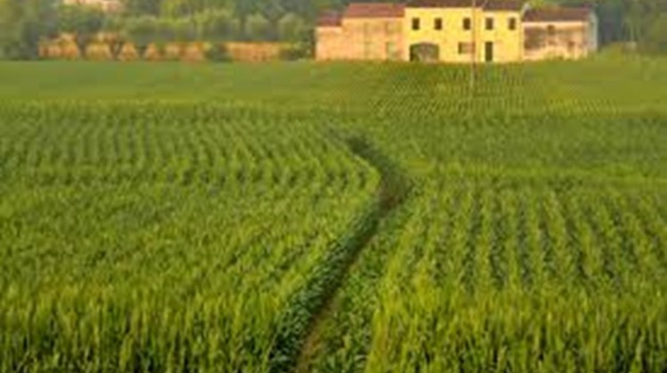 Egypt, Germany review joint cooperation in water resources