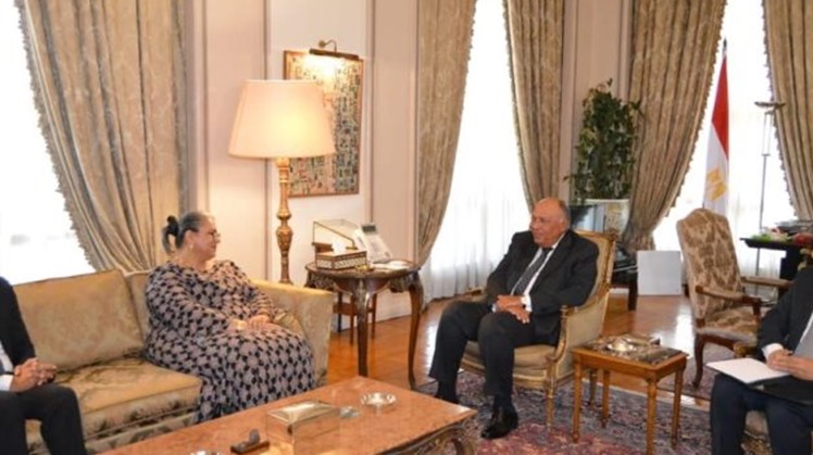 Egypt’s FM, UN Envoy for Horn of Africa review GERD file, latest development in Sudan