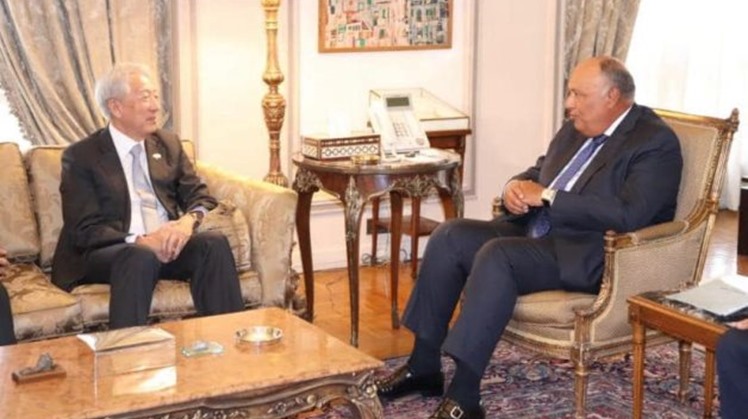 Egypt’s FM, Singapore’s senior min. review means of providing funding to developing states for climate goals