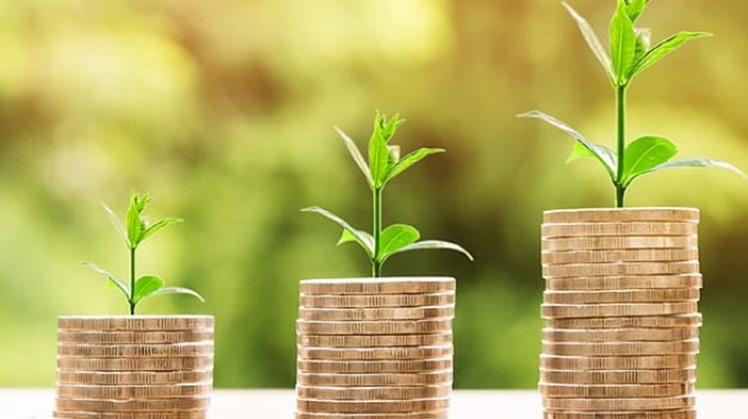 Egypt allocates EGP 4.4 bln investments for Red Sea governorate