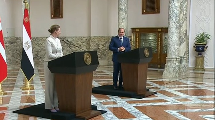 Egypt's Sisi calls to reach legally-binding deal on GERD