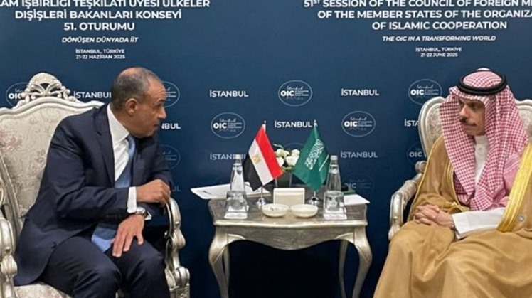 Egyptian Minister of Foreign Affairs and Emigration Badr Abdelatty met with his Saudi counterpart, Prince Faisal bin Farhan, on Saturday, June 21, on the sidelines of the OIC meetings in Istanbul