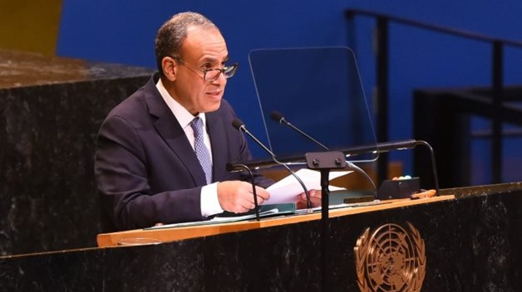 Foreign Minister Badr Abdelatty told the 80th session of the UNGA