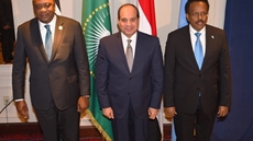Mediated by African Union (AU) chair, Egypt, Somali President Mohamed Abdullahi Formaajo and Kenyan President Uhuru Kenyatta held on a summit meeting on Tuesday on the sidelines of the United Nations General Assembly (UNGA) in New York.