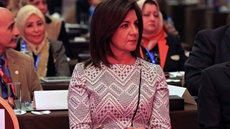 Egypt's Ministry of State for Immigration and Expatriate Affairs will establish a unit for Egyptian investors abroad that will be responsible for facilitating the issuance of licenses for their projects.
