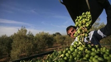 Egypt's Prime Minister Mostafa Madbouli met on Sunday with a number of ministers to follow up on the developmental projects