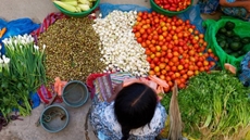 Egypt's food exports to European Union in 3 months reach $152M