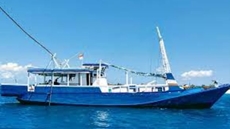 3 new initiatives launched within Egypt's 'Safe Shore' targeted at fishermen