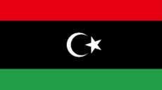 Libya requests Egyptian cooperation in training police members
