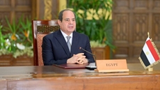 Egypt's Sisi appoints female members of State Lawsuits Authority, administrative prosecution at State Council