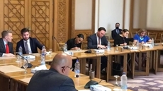 Egypt, Congress aides discuss regional, int’l issues of concern in Cairo