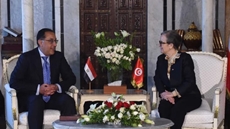 Egypt, Tunisia announce activating maritime shopping line this year