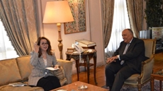 Egypt keen to resume cooperation with UNODC to combat cross-border crimes, cultural property trafficking: FM