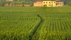 Egypt, Germany review joint cooperation in water resources