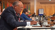 Egypt warns against continuity of status quo on GERD as 'instability element'