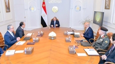 Egypt's Sisi orders localizing industries of producing renewable energy