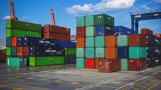 Egypt's food exports to USA hit $253M in 11 months