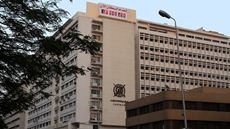 Central Agency for Public Mobilization and Statistics (CAPMAS)