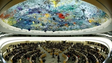 United Nations Human Rights Council 