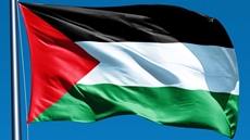 Palestinian Flag